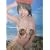 Rin�fs I Land�\�؂��t�@�[�X�g�ʐ^�W