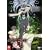 �������l�{�������� ���� ��Q�� [DVD]