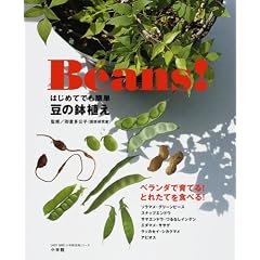Beans ! �i�r�[���Y�j�͂��߂Ăł��ȒP ���̔��A��