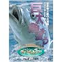 ���E�ő勉�̑�ʁE�j���[�J���h�j�A�ɋ��勛��ǂ�![���E!�鋫�ލsvol.6] [DVD]