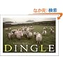 DINGLE-�f�B���O��-