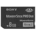 �����X�e 8GB