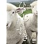 �Ђ������� ���{�̂Ђ��q�� [DVD]