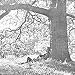 Yoko Ono/Plastic Ono Band