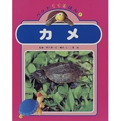 �J�� (�y�b�g119�΂�)