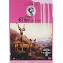 Salyu Clips 2004-2007 [DVD]