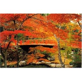 【クリックで詳細表示】1000ピース 紅葉谷公園 RS-13-235