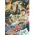 �͂��߂̈�� TV�X�y�V���� Champion Road [DVD]