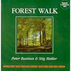 Forest Walk