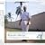 RESORT+MUSIC�J���r�A���E�E�C���h