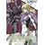 �@����m�K���_��SEED DESTINY 10 [DVD]