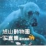 ���R�������ʐ^�W (DVD-VIDEO(1��)�t)