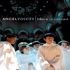 Angel Voices: Libera in Concert [DVD] [Import]