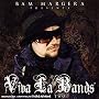 Bam Margera Presents: Viva La Bands, Vol. 2