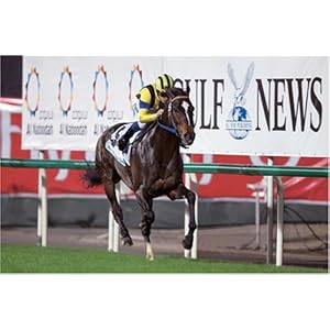 【クリックで詳細表示】1000ピース ハーツクライ’06ドバイシーマクラシック 1000-481