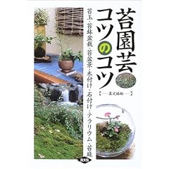 苔園芸コツのコツ―苔玉・苔鉢盆栽・苔盆景・木付け・石付け・テラリウム・苔庭