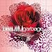 Beautiful Garbage