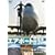 �G�A�|�[�g�}�ӁE��`24��[���c���ۋ�`�I�t�B�V����] [DVD]