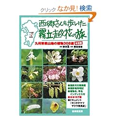 【クリックでお店のこの商品のページへ】西郷さんも歩いた霧立越花の旅 木本編―九州脊梁山地の植物308選: 秋本 治, 南谷 忠志: 本