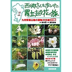 【クリックで詳細表示】西郷さんも歩いた霧立越花の旅 木本編―九州脊梁山地の植物308選： 秋本 治， 南谷 忠志： 本