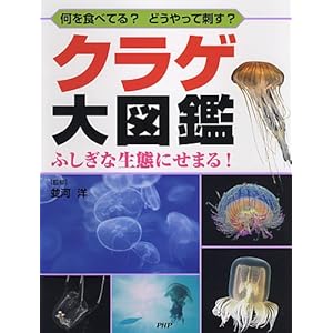 【クリックで詳細表示】クラゲ大図鑑 [単行本]