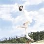 swing