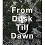From Dusk Till Dawn