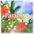 Paradiso(���񐶎Y�����)(DVD�t)