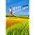 �ޏ��̒m��Ȃ��ޏ�