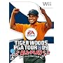 �^�C�K�[�E�E�b�Y PGA TOUR 09 ALL-PLAY