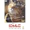 �L��DVD