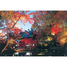 【クリックで詳細表示】1000ピース 高台寺秋の宵 71-360