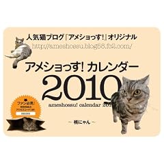 �A���V������!�J�����_�[2010