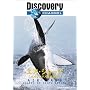 �f�B�X�J�o���[�`�����l�� �G�A�E�W���[�Y -�z�I�W���U�����n��- [DVD]
