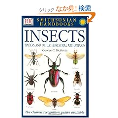 【クリックでお店のこの商品のページへ】Handbooks: Insects: The Most Accessible Recognition Guide (Smithsonian Handbooks)
