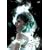 ���{�Ȃ�Summer Live Tour2009~����ς�X�j�[�J�[������!-Tour FINAL-�g�V���Ȑ����h [DVD]