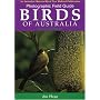 Photographic Field Guide: Birds of Australia
