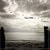 VINNYBEACH~�ˋ�̊C��~(��������)(DVD�t)