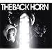 THE BACK HORN