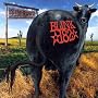 Dude Ranch