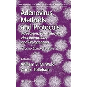 【クリックで詳細表示】Adenovirus Methods and Protocols： Volume 2： Ad Proteins and RNA， Lifecycle and Host Interactions， and Phyologenetics (Methods in Molecular Medicine) [ハードカバー]