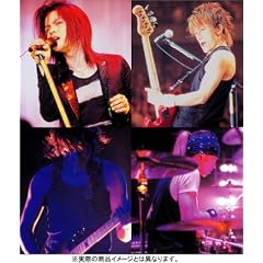 L'Arc-en-Ciel LIVE DOCUMENT PHOTOGRAPHS [SMILE TOUR 2004]