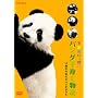 �p���_�q��ĕ��� ~17���̌��C�Ȏq�p���_�����~ [DVD]