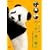�p���_�q��ĕ��� ~17���̌��C�Ȏq�p���_�����~ [DVD]