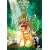 �o���r2 �X�̃v�����X [DVD]