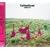 SATELLITE(���񐶎Y�����)(DVD�t)