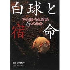 【クリックで詳細表示】白球と宿命 甲子園から生まれた6つの物語 (日刊スポーツ・ノンフィクション)： 矢崎 良一： 本