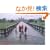 ���� �X�e�B�[�u�E�}�b�J���[�A���R�[���̎��@