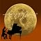 FIVE�ELIVE�EDIVE