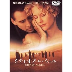 �V�e�B�E�I�u�E�G���W�F�� ���ʔ� [DVD]